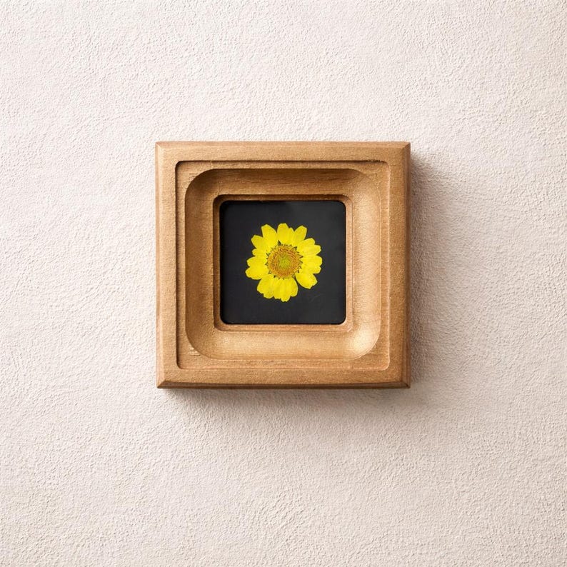 May include: Square wooden frame with a recessed design, showcasing a vibrant yellow flower against a black background. The frame has a natural wood finish and is mounted on a textured white wall.