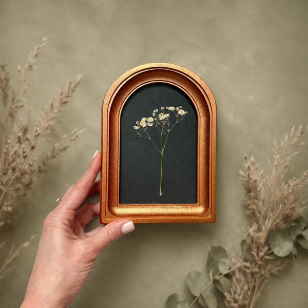 4x6 Botanical Wall Art in an Arched Frame – Pressed Flower, Natural Herbarium, Minimalist Wall Decor
