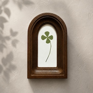May include: A dark brown wooden frame with an arched top containing a white background. Centered on the white background is a single pressed green four-leaf clover with a thin stem. The frame has a deep, recessed design with smooth edges.