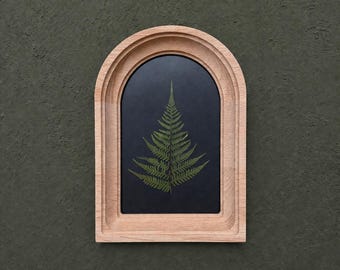 Geperste varen in een houten gebogen lijst | Botanische muurkunst | Natuurlijk herbarium | Cottagecore-stijl