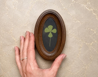 Klavertje vier in een ovaal houten frame van 2 x 4 inch – Geluksbedel, wanddecoratie, geperste klaver