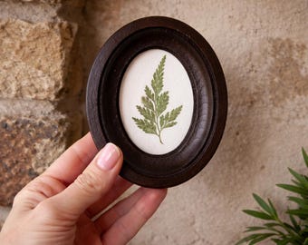 Miniature Pressed Fern Leaf Frame 2x3" – Botanical Wall Art – Cottagecore Decor – Handmade Herbarium
