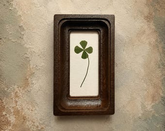 Lucky four-leaf clover in a wooden frame, good luck charm, botanical decor, happiness gift