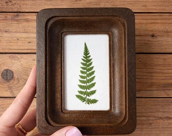Cornice in miniatura con felce essiccata vera, 5 x 7,5 cm – Decorazione rustica da parete, arte botanica