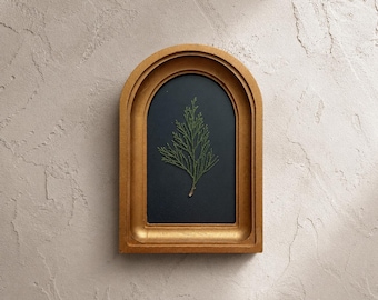 Enebro natural en un marco arqueado color dorado, decoración botánica de pared, flores secas prensadas, hecho a mano.