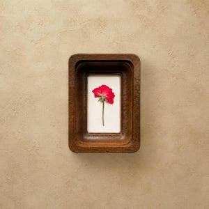 Op de afbeelding: Een ingelijste geperste rode roos. De rechthoekige houten lijst heeft een donkerbruine afwerking. De roos is gecentreerd op een witte achtergrond. De achtergrond is een getextureerde beige kleur.