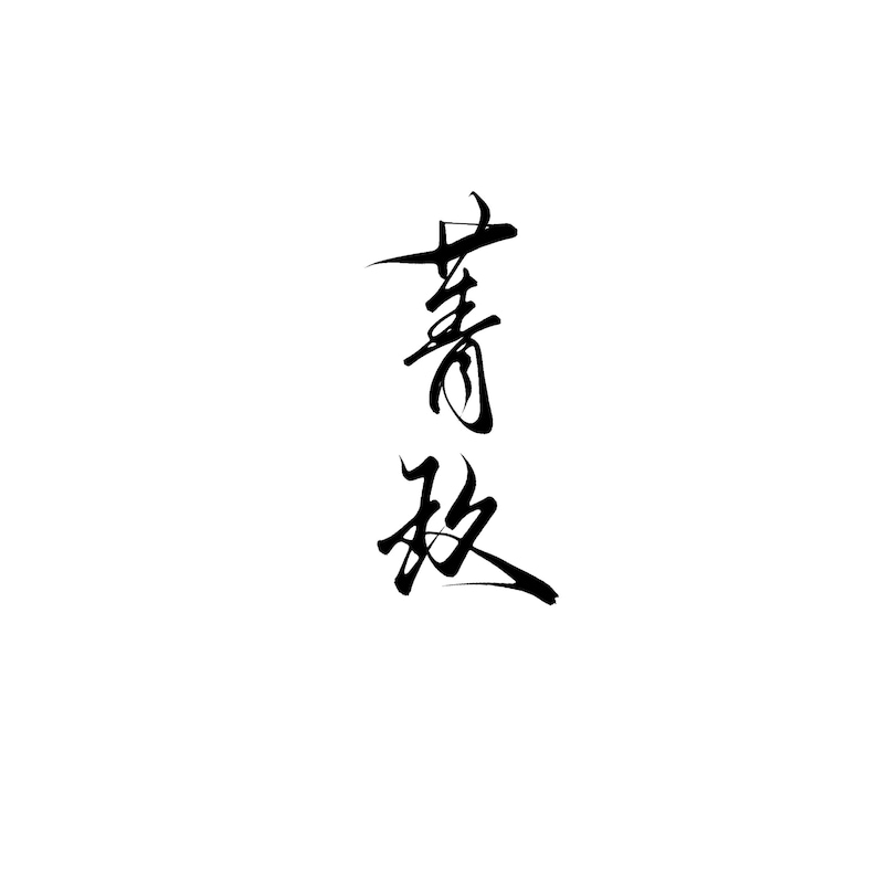 Custom Chinese Calligraphy Name — Digital File (made to Order) - Etsy