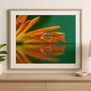 May include: A framed print featuring a close-up of an orange flower with a water droplet. The droplet reflects the flower's colors, set against a green background. The image is displayed on a wooden surface.