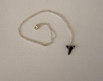 shark tooth necklace with silver chain made by me :) tooth from myrtle beach sc!!