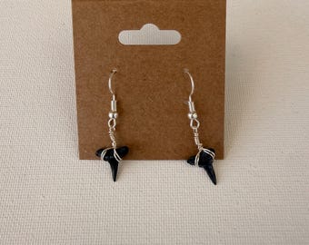 Silver shark tooth dangle earrings! Found and handmade by me!