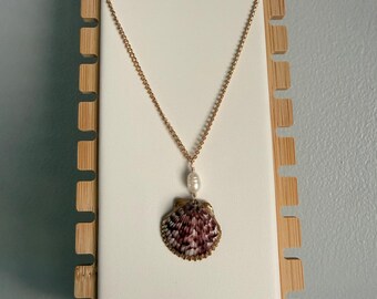 purple pattern scallop shell necklace with pearl and gold chain! Shell found and necklace made by me!
