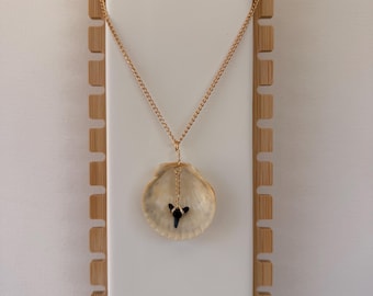 Scallop shell with shark tooth , on a gold chain! Shell and tooth found and necklace made by me!
