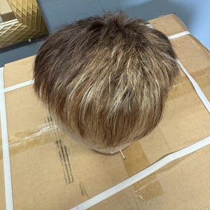 May include: A short, layered wig with brown and blonde highlights. The wig has a slightly tousled style, and is placed on a mannequin head. The wig is on a cardboard box.