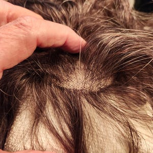 May include: Close-up of a dark brown wig with strands of grey hair. The wig's base is visible, showing a fine, mesh-like material. The hair is styled with slight waves and curls, giving a natural appearance. The wig is being held by a hand.