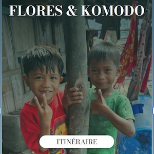 Peut inclure: Publicité de voyage avec le texte "FLORES & KOMODO" et "ROADTRIP FAMILLE". Deux jeunes garçons sourient, l'un faisant le signe de la paix et l'autre un pouce levé. Le mot "ITINÉRAIRE" est également présent.