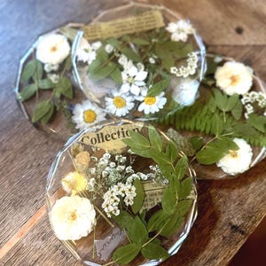 Puede incluir: Un juego de tres posavasos de resina transparentes, circulares y facetados, que contienen flores blancas prensadas, hojas verdes y fragmentos de papel estilo vintage con el texto "Collection". Los posavasos tienen un borde geométrico.