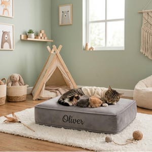 May include: A gray, rectangular pet bed with the name "Oliver" embroidered on the side. A tabby cat wearing a sweater and three kittens are sleeping on the bed. The bed is on a white rug in a room with a teepee.