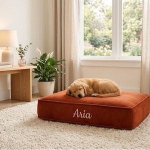 May include: A sleeping golden retriever puppy rests on a rust-colored dog bed. The bed is rectangular and has the name "Aria" embroidered on it in white. The bed is placed on a cream-colored shag rug.