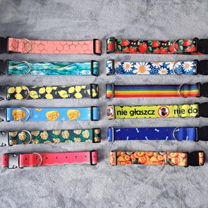 Può includere: Una collezione di collari per cani con vari motivi, tra cui fragole, margherite, limoni, arcobaleni, formaggio e angurie. Ogni collare ha una fibbia in plastica nera e un anello a D in metallo. Alcuni collari hanno del testo.
