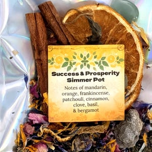 Może przedstawiać: Success & Prosperity Simmer Pot z suszonymi plasterkami pomarańczy, laskami cynamonu i różnymi ziołami. Etykieta wymienia nuty mandarynki, pomarańczy, kadzidła, paczuli, cynamonu, goździków, bazylii i bergamotki.