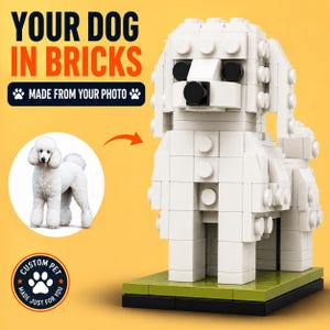 Figura de mascota personalizada a partir de una foto / Minifigura de perro personalizada de regalo