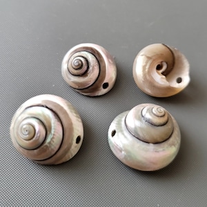 Set van 4 stuks: glanzende parel slak schelpen, doe-het-zelf schelpoorbellen, doe-het-strand oorbellen, doe-het-zeeoorbellen, boho-oorbellen - klein of groot