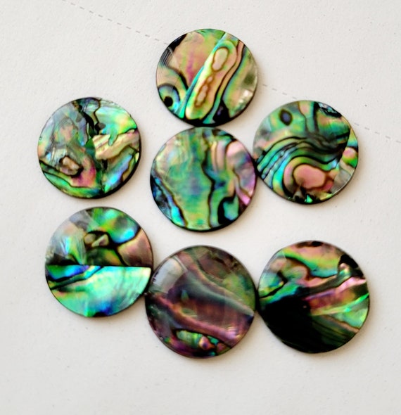 Sterling Silver Round Cabochon Paua Shell Earrings Sterling Silver Round Cabochon Paua Shell Earrings