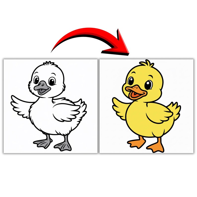 Puede incluir: Dos ilustraciones de patitos de dibujos animados. Una es un contorno en blanco y negro, y la otra es un patito amarillo completamente coloreado con pico y patas naranjas. Una flecha roja apunta del patito en blanco y negro al coloreado.