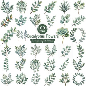 100+ Eukalyptus Clipart PNG-paket, Akvarell Gröna Blad, Eukalyptus Kranskant, Botanisk Bukett, Baby Shower & Bröllop Clipart