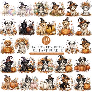 Może przedstawiać: Cyfrowa kolekcja 40 obrazków clipart ze szczeniakami na Halloween, przedstawiająca różne rasy psów w kapeluszach czarownic, siedzące z dyniami, jesiennymi liśćmi i latarniami. Centralny tekst brzmi 40 PNGS HALLOWEEN PUPPY CLIPART BUNDLE 2000 X 2000 TRANSPARENT BACKGROUND.