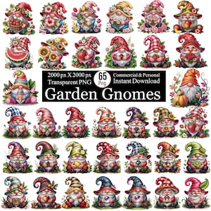 Può includere: Una collezione di 35 illustrazioni di gnomi da giardino stravaganti. Ogni gnomo è progettato in modo unico con cappelli colorati, barbe e vari accessori come fiori, frutta e verdura. L'immagine include il testo "Garden Gnomes" e dettagli sul file PNG.