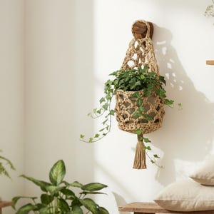 May include: A woven macrame plant hanger with a wooden mounting bracket, holding a potted plant with green foliage. The natural fiber hanger has a tassel at the bottom. The plant is hanging on a white wall.