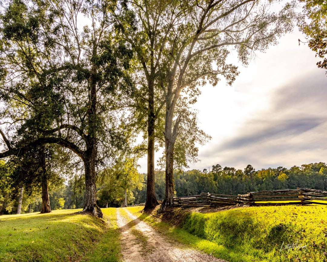 Rustic Place Trace Natchez Trace Parkway Tennessee Print β Rustic Dirt Road & Southern ...