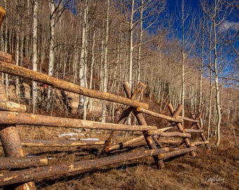 Park City Utah Fence Line – Rustic Aspen Forest & Mountain Landscape Photography Print