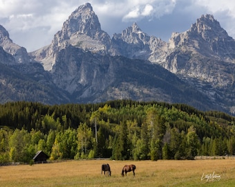 Grand Teton Horses Print – Wyoming Mountain Landscape & Rustic Western Nature Photography