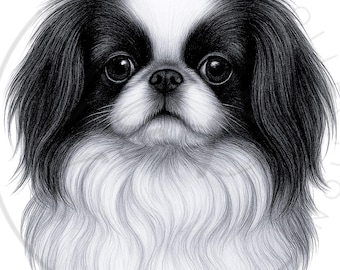 Lámina artística con retrato de perro chinchilla japonés / Regalo para amantes de los perros (Descarga digital)