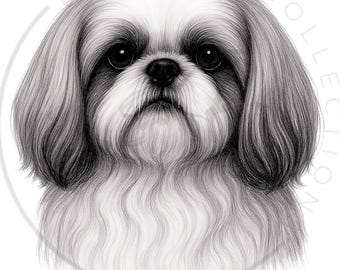 Lámina artística con retrato de Shih Tzu / Regalo para amantes de los perros de 8x10 pulgadas (Descarga digital)