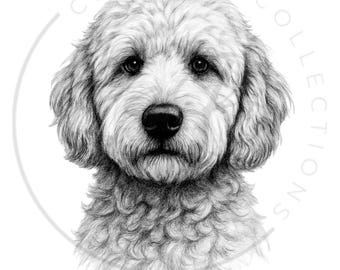 May include: A detailed pencil drawing of a Goldendoodle dog's face, showcasing its fluffy, curly fur and expressive eyes. The artwork is in grayscale, with the words "CREATIVE COLLECTIONS" in a circular design around the dog's head.