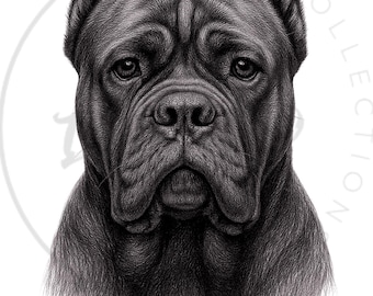 Cane Corso Portrait Print | Modern Dog Lover Gift (8x10 Digital Download)