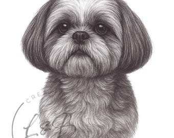 Lámina decorativa de Shih Tzu para pared / 8x10 pulgadas para amantes de los perros (Descarga digital)