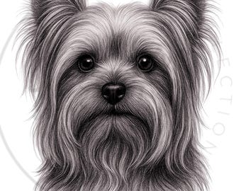 Yorkie Portrait Art Print | Modern Dog Lover Gift (Digital Download)