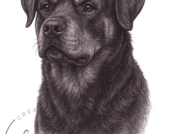Lámina decorativa de Rottweiler para pared / 8x10 pulgadas para amantes de los perros (Descarga digital)