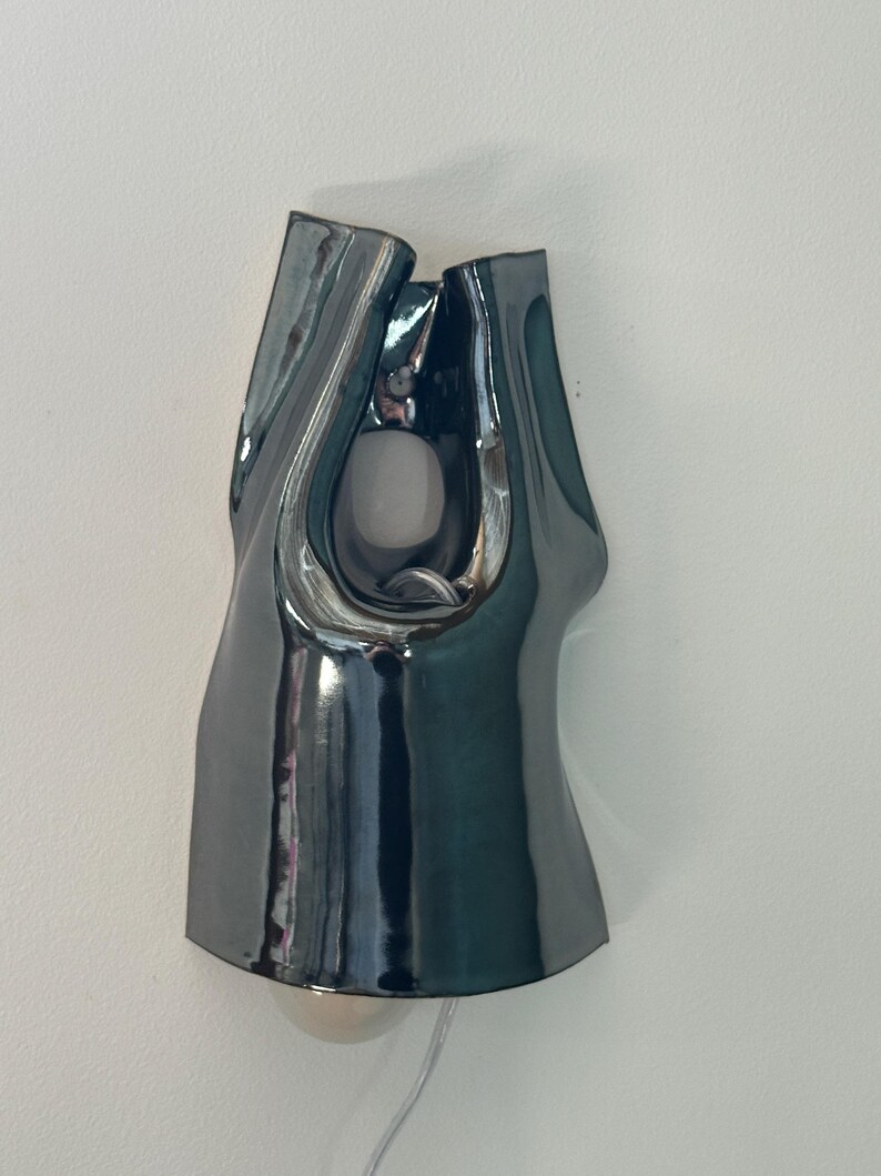 May include: A wall-mounted lamp featuring a glossy, dark charcoal-coloured ceramic shade with an organic, asymmetrical shape. The fixture has a central cutout and a rounded opening at the bottom, revealing a light bulb and a clear power cord.