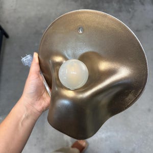 May include: A metallic bronze wall sconce featuring a curved, organic-shaped shade with a smooth finish. A single round, frosted white light bulb is centered on the shade. A small circular mounting hole is visible at the top of the fixture.