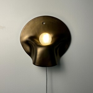 May include: A wall-mounted lamp featuring a dark, metallic, organic-shaped shade with a smooth, undulating surface. A single, glowing, spherical light bulb is positioned in the center of the shade. A thin, clear power cord hangs from the bottom.