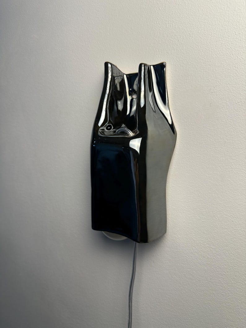 May include: A wall-mounted light fixture with a glossy, reflective black ceramic finish. The object features an elongated, organic, and undulating form with a smooth surface. A thin, light-colored electrical cord extends from the bottom edge.