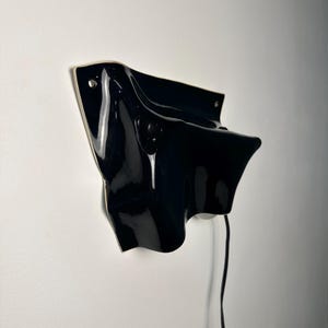 Puede incluir: Un aplique de pared negro brillante con una forma fluida y ondulada. La pieza presenta una superficie lisa y reflectante y est&aacute; fijada a la pared con herrajes met&aacute;licos visibles. Un fino cable de alimentaci&oacute;n negro sale del borde inferior.