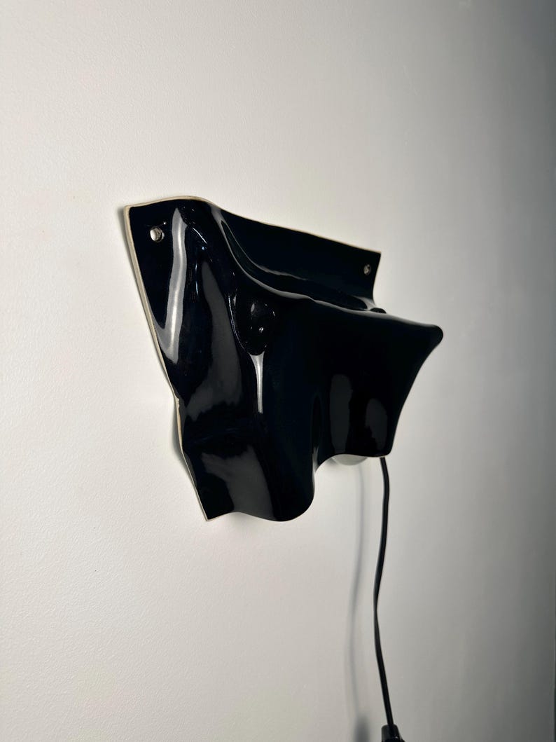 Puede incluir: Un aplique de pared negro brillante con una forma fluida y ondulada. La pieza presenta una superficie lisa y reflectante y est&aacute; fijada a la pared con herrajes met&aacute;licos visibles. Un fino cable de alimentaci&oacute;n negro sale del borde inferior.