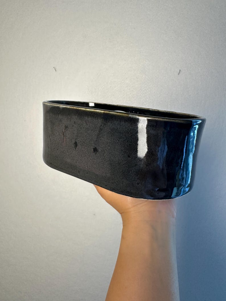 May include: A rectangular, black ceramic planter with a glossy finish. The planter has rounded corners and a smooth surface. The dark colour and simple shape make it suitable for various plants and decor styles.