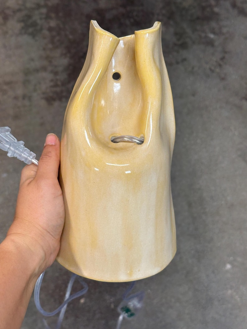 Pu&ograve; includere: Un'applique da parete in ceramica giallo pallido con finitura liscia e lucida e una forma organica e fluida. Il corpo illuminante presenta un foro di montaggio circolare nella parte superiore e un'apertura centrale per il cavo elettrico.